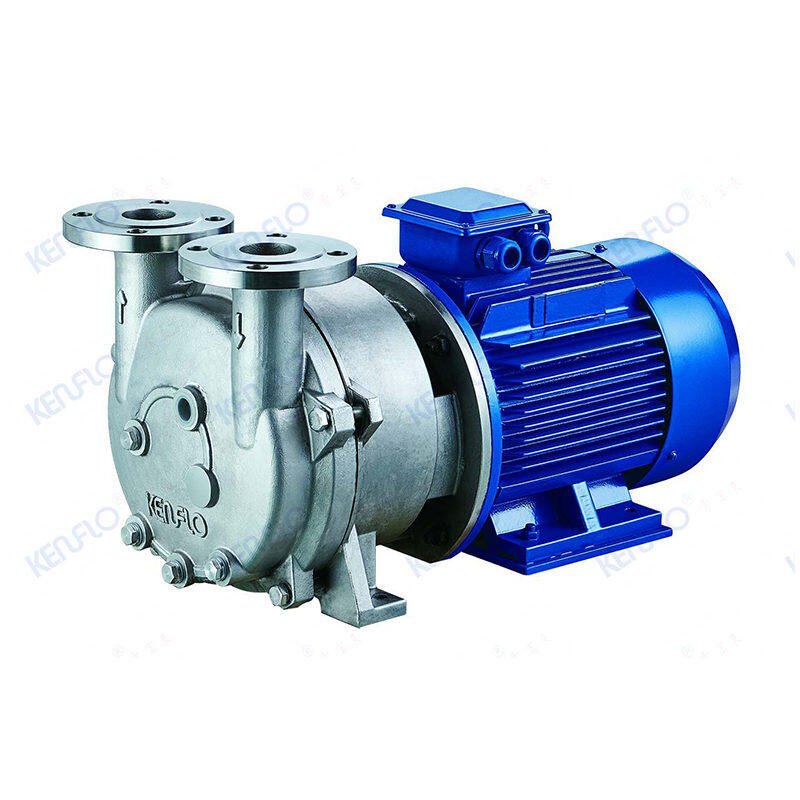 Compact Liquid Ring Vacuum Pump (Cantilever)