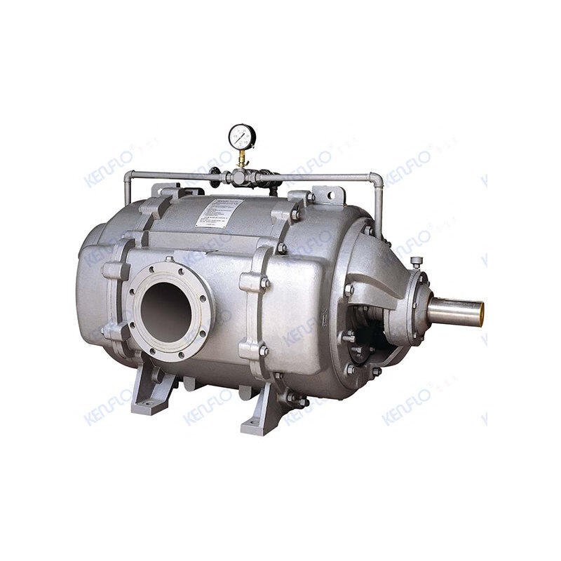 Double-Acting Water Ring Vacuum Pump