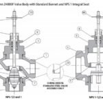 Fisher Baumann 24003 Universal Globe Valve – Sliding Stem Valves