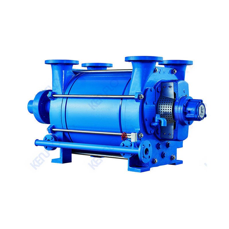 Large-Capacity Liquid Ring Vacuum Pump