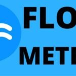 Water Meters