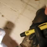 Wolf M-10 Torch